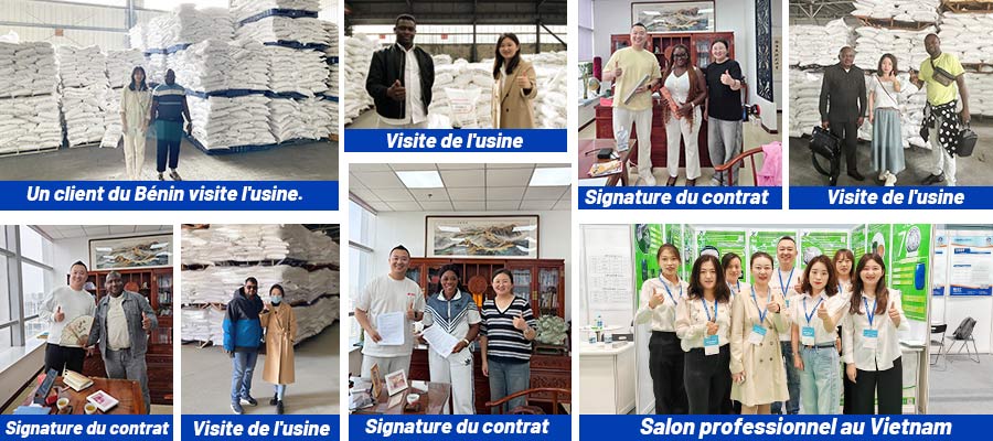 Visite Client Usine Soude Caustique - Fournisseur Chine Fiable