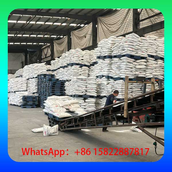Chargement Conteneur NaOH Soude Caustique 25kg - Exportation Fournisseur Chine